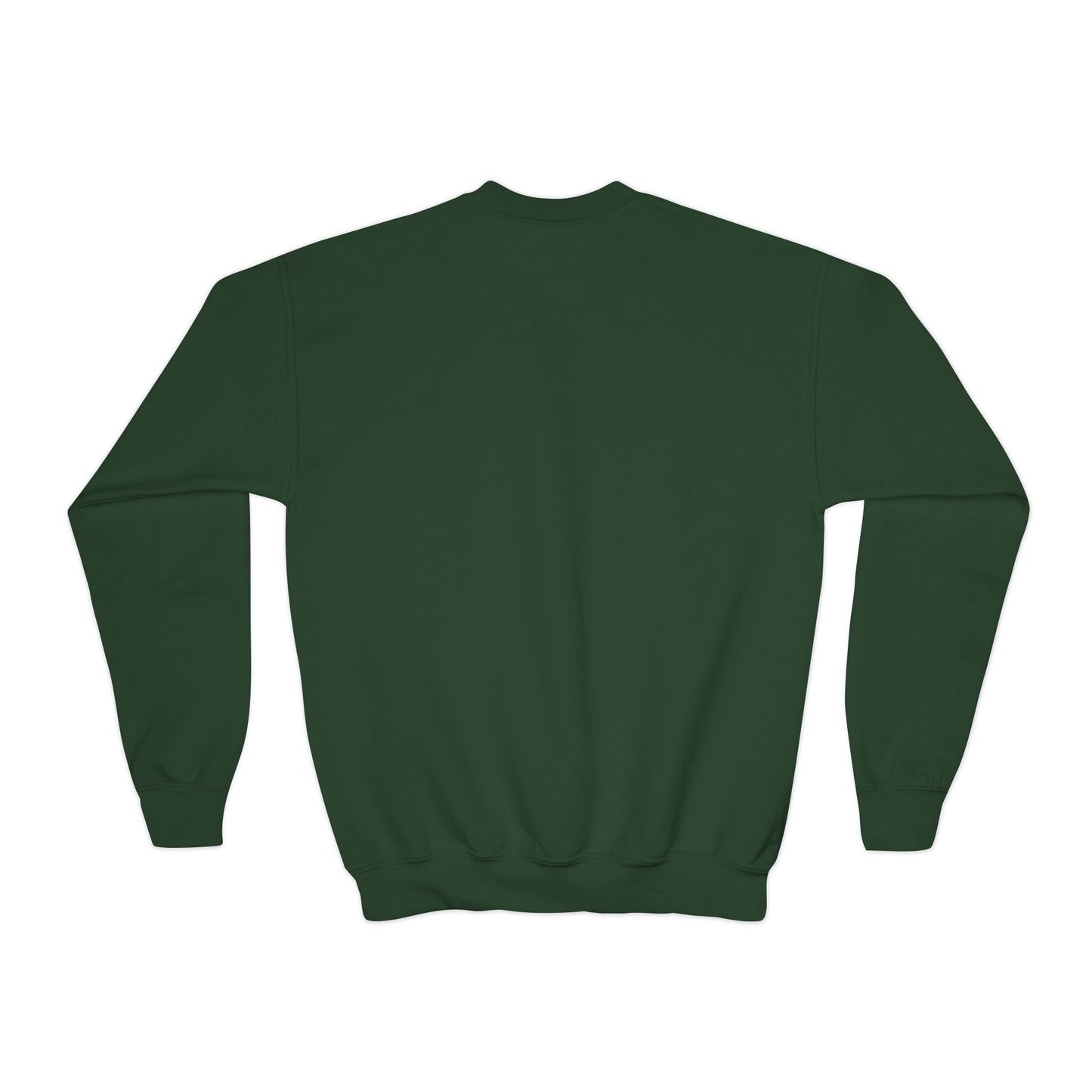 Robin Logo Youth Sweatshirt
