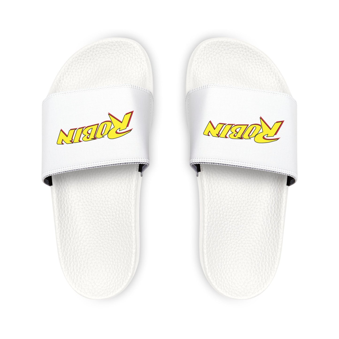 Robin Logo Slides