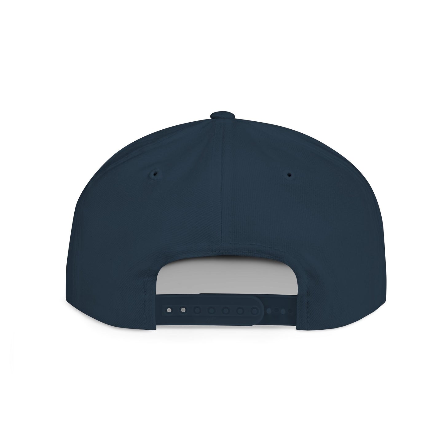 The Flash Snapback