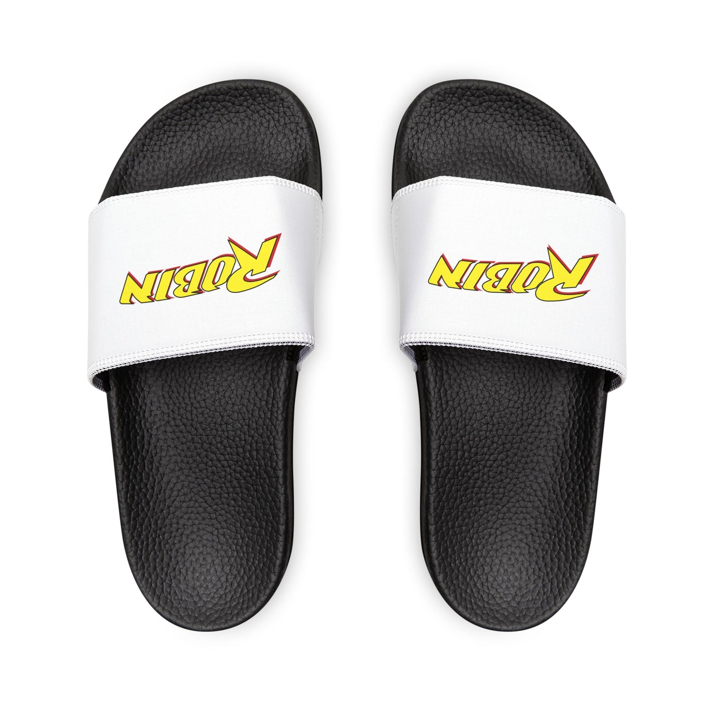 Robin Logo Slides