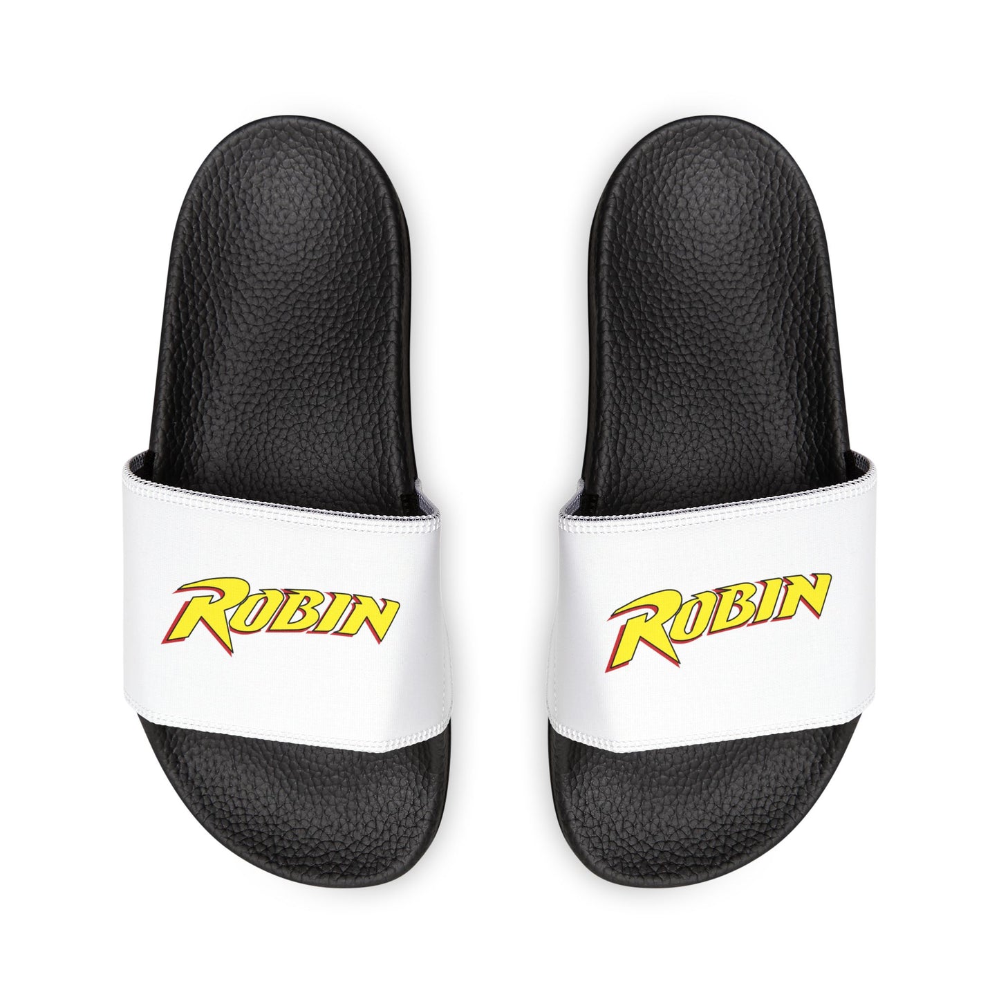 Robin Logo Slides