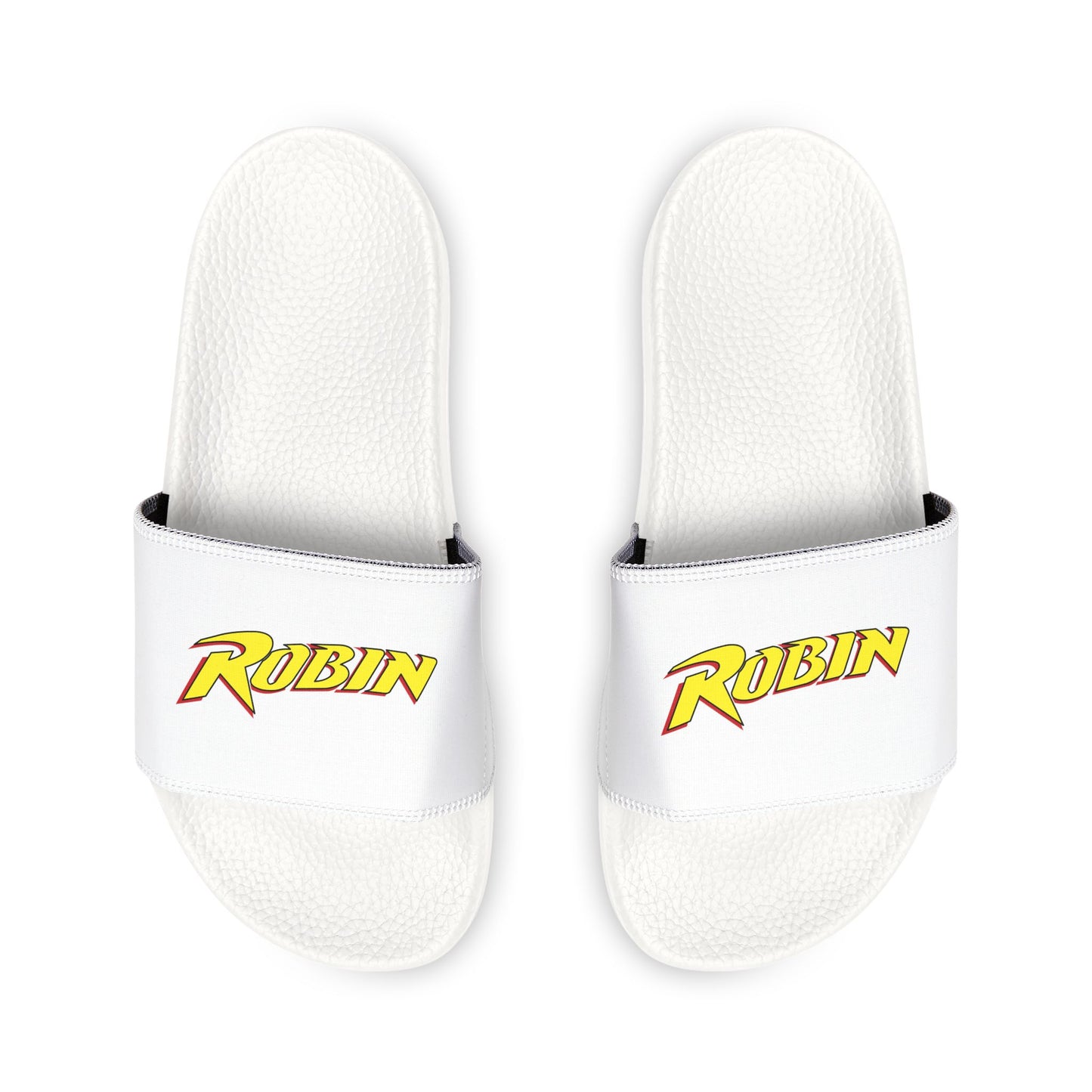 Robin Logo Slides