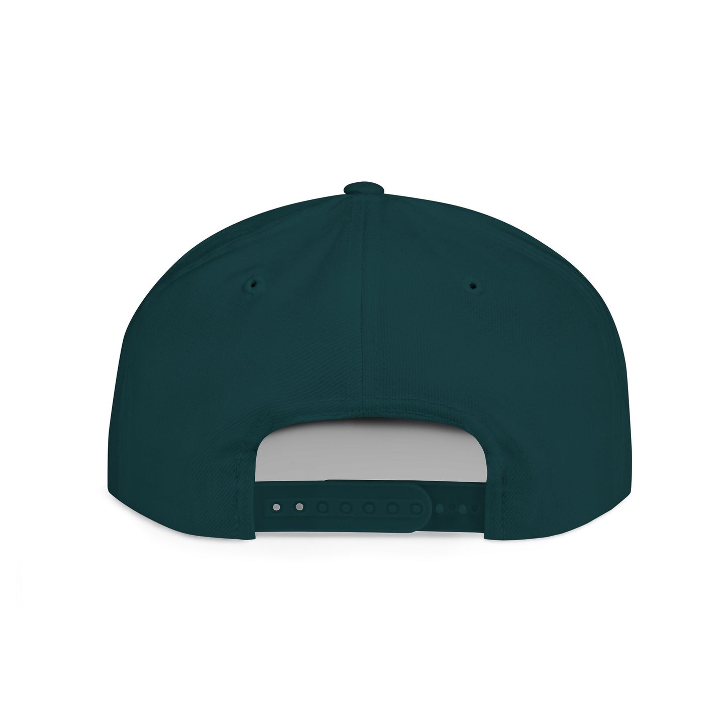 The Flash Snapback